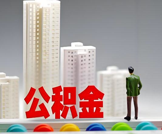 内江委托他人办理需要提供什么证件。